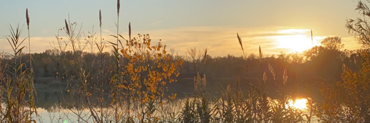 blnsnot's profile banner image