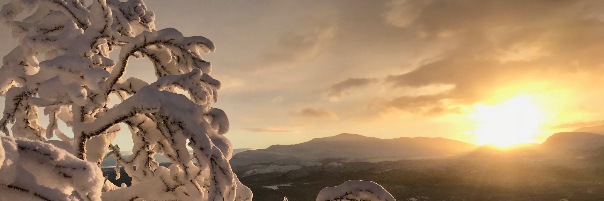 sofiaoo's profile banner image
