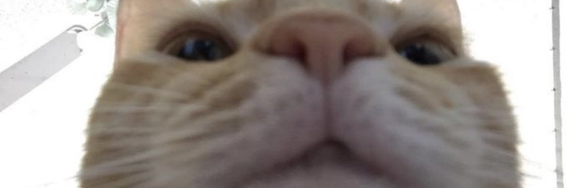 petrspeed's profile banner image