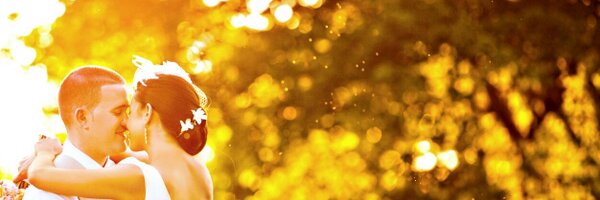 roephoto Profile Banner