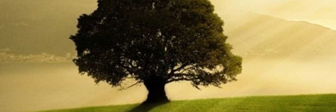 بندر فهد الباز banner