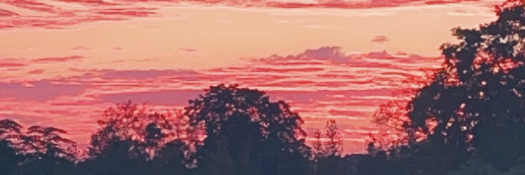 crisi9082's profile banner image