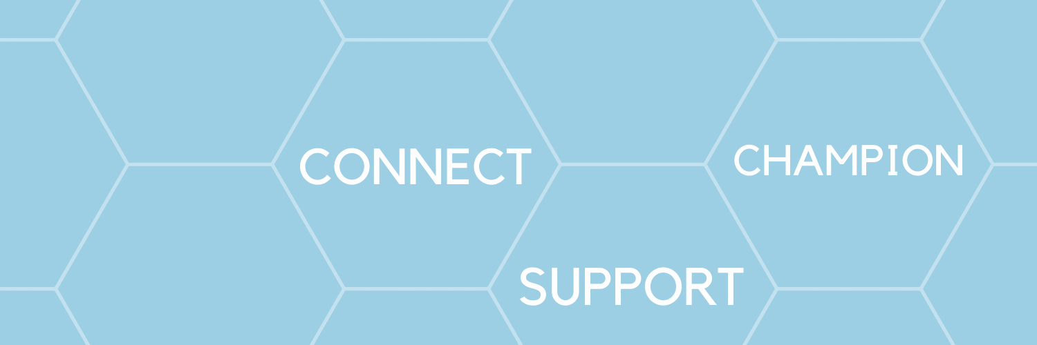 Lawyers in Local Government banner