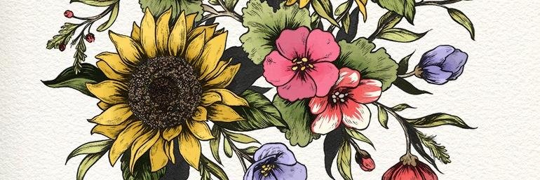 hannahcor's profile banner image