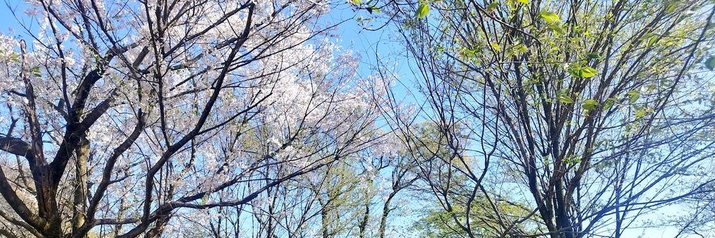 отъебитесь от архидьякона banner