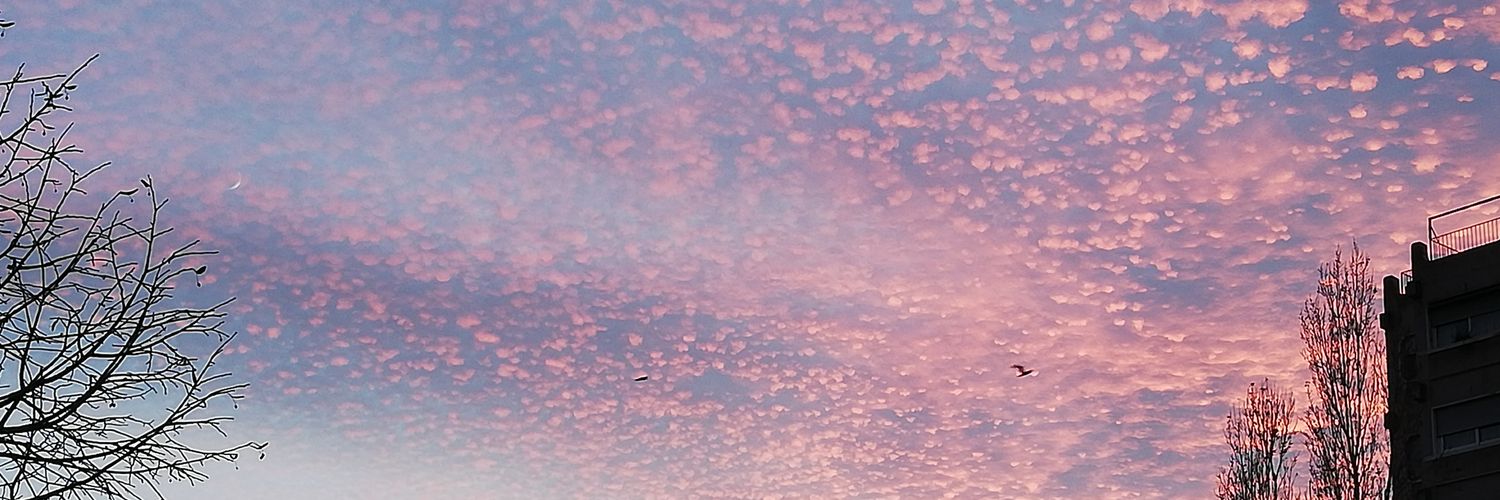 🐳 banner