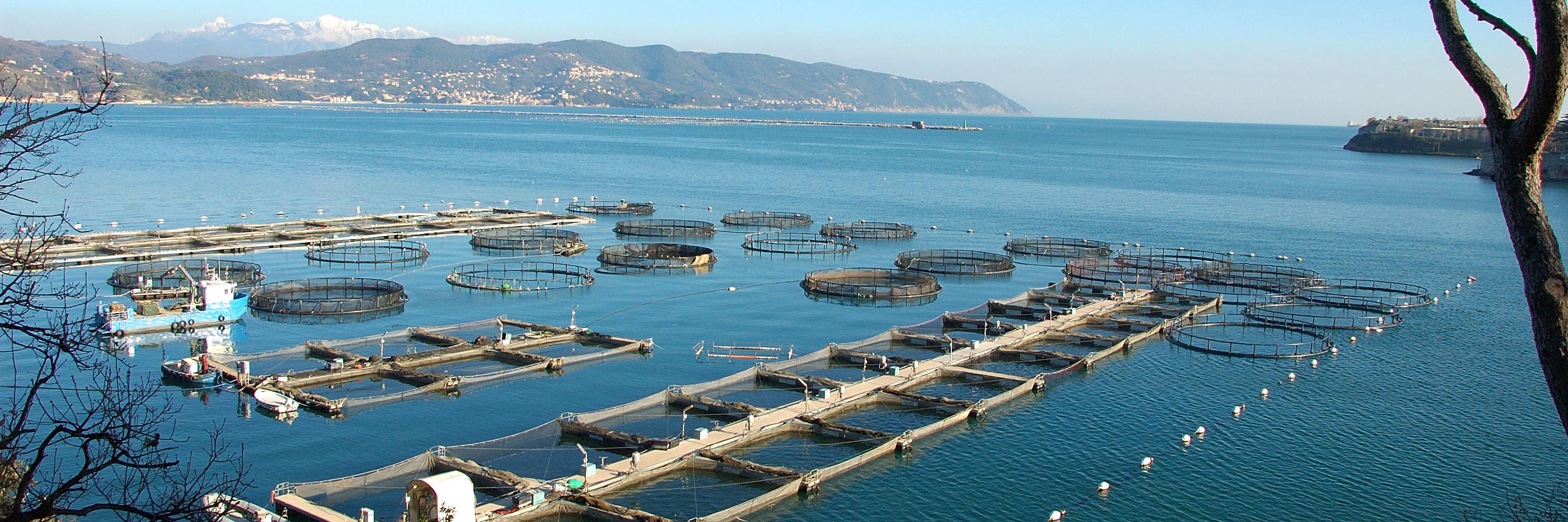 FISH - COPA COGECA banner