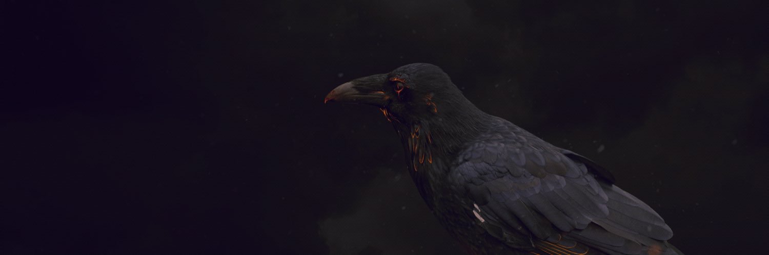 MikeKnpfl's profile banner image