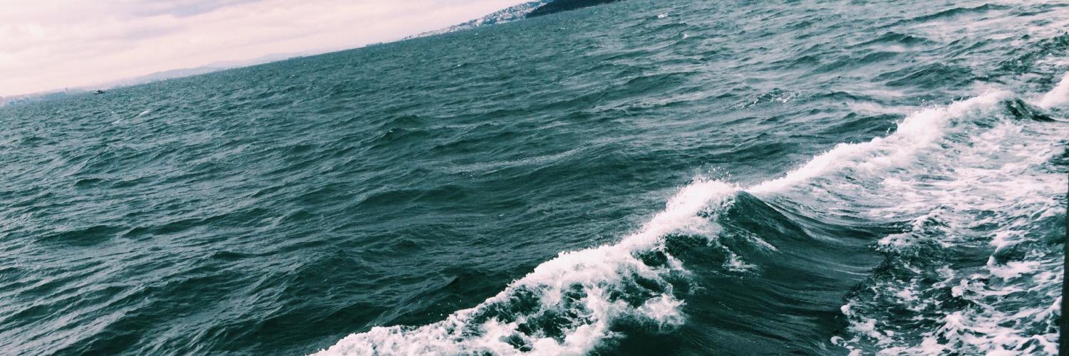 ZagiAlya's profile banner image