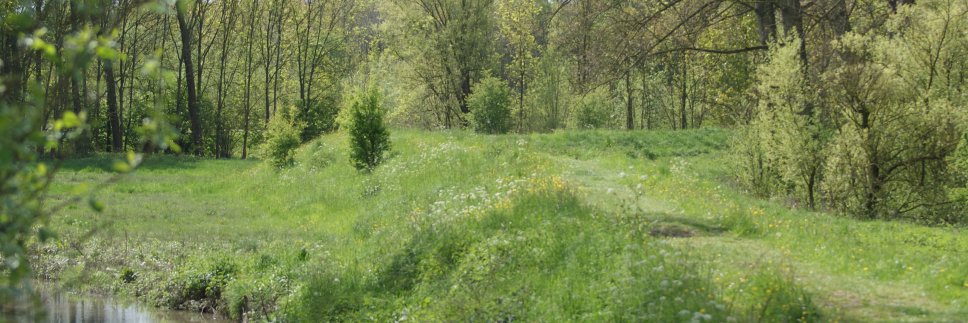 Johannes Charlier banner