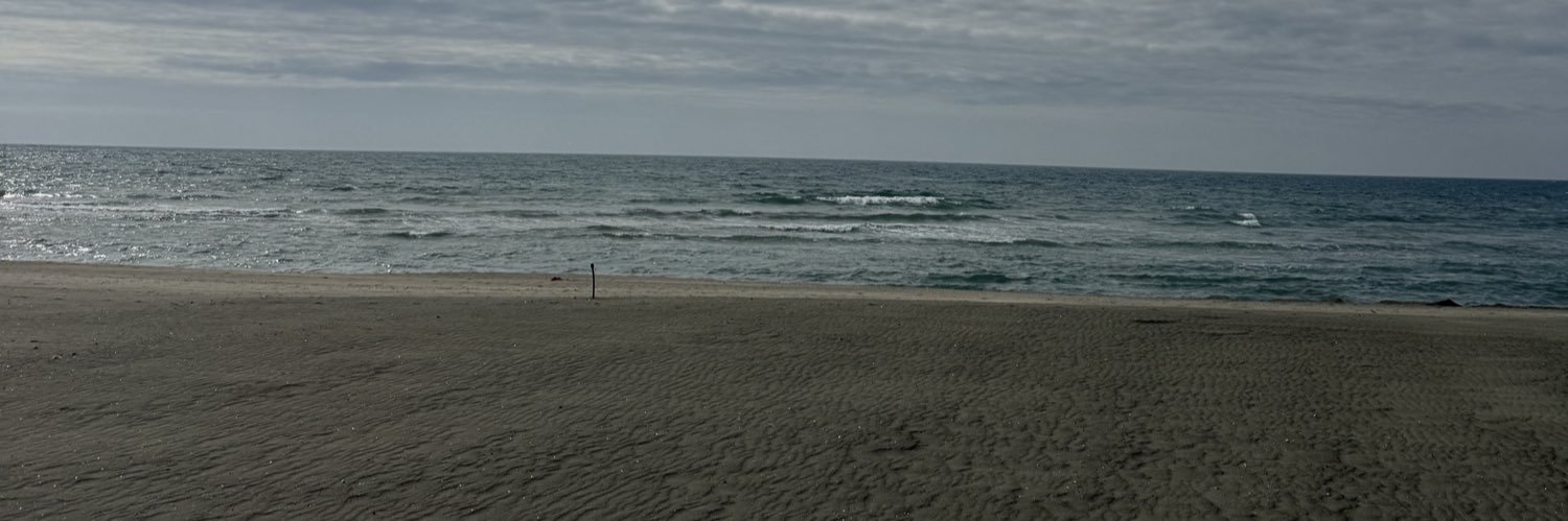 pecluca's profile banner image