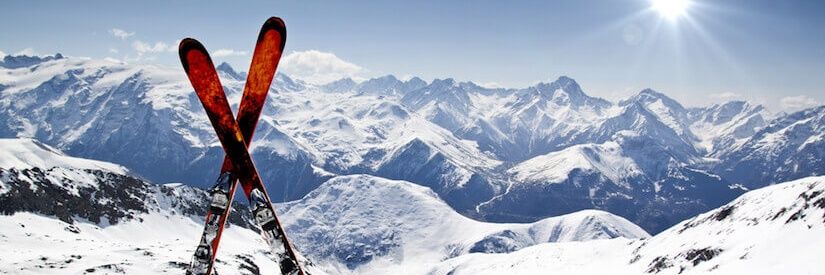Elio Miglio banner