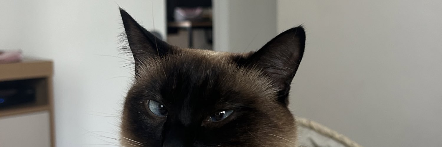 lxdorte's profile banner image