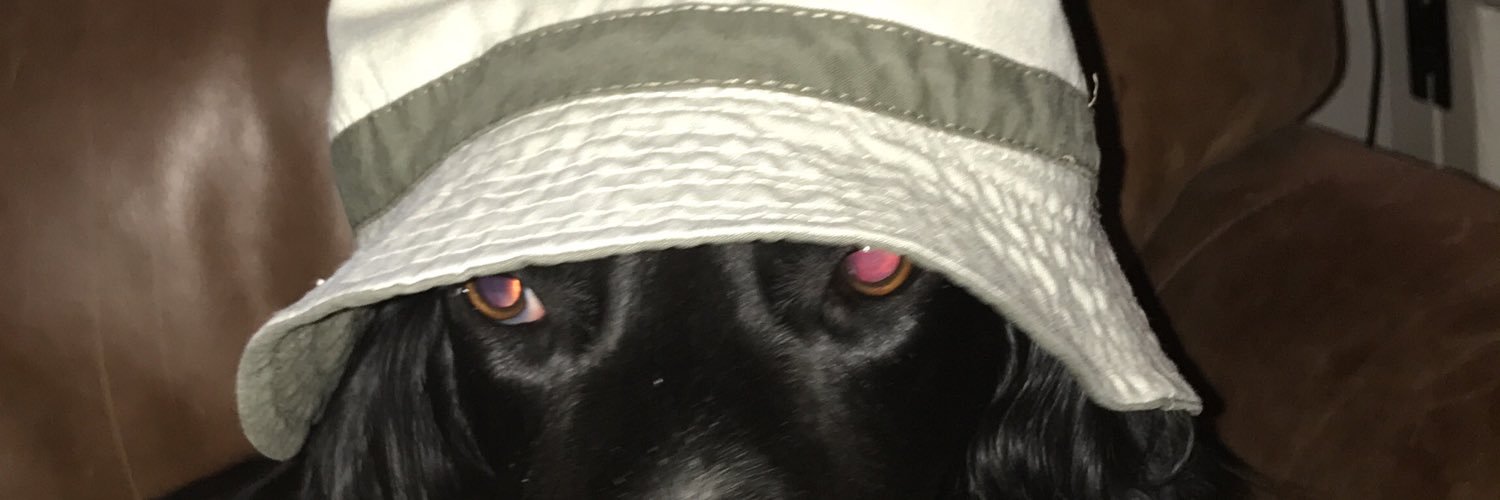 Tom_Pecorini2's profile banner image