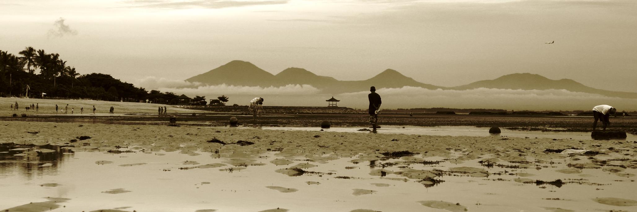 Lach Monsbourgh banner