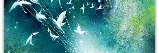 tareotas's profile banner image