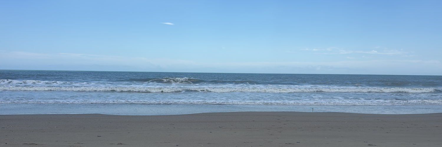 Drew Davidson banner