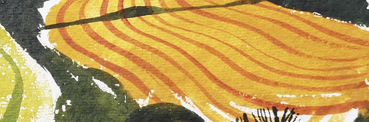 baileywalters11's profile banner image