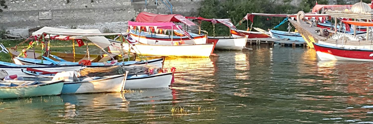 celikesraaa's profile banner image