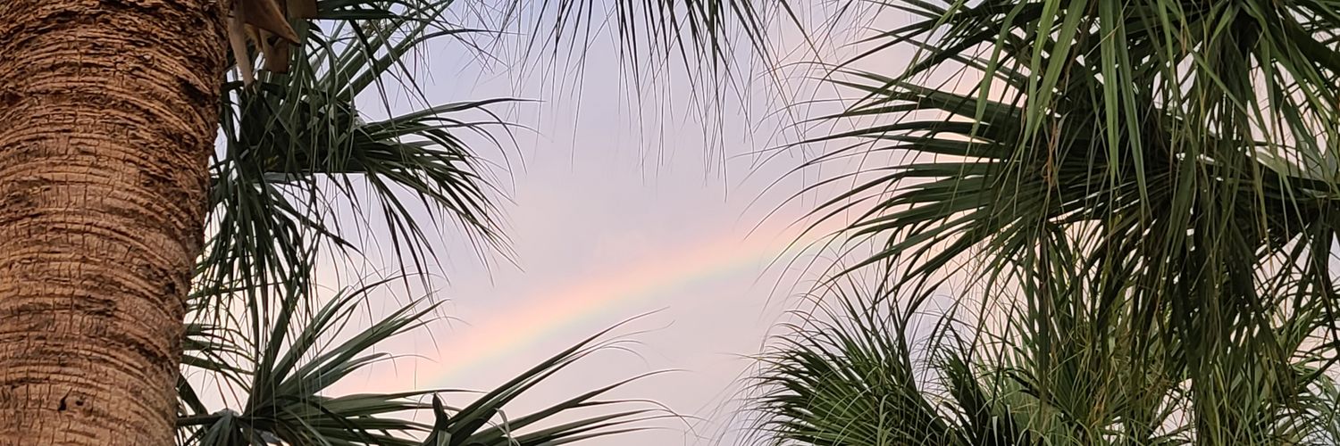 Addia Kathryn Wuchner banner