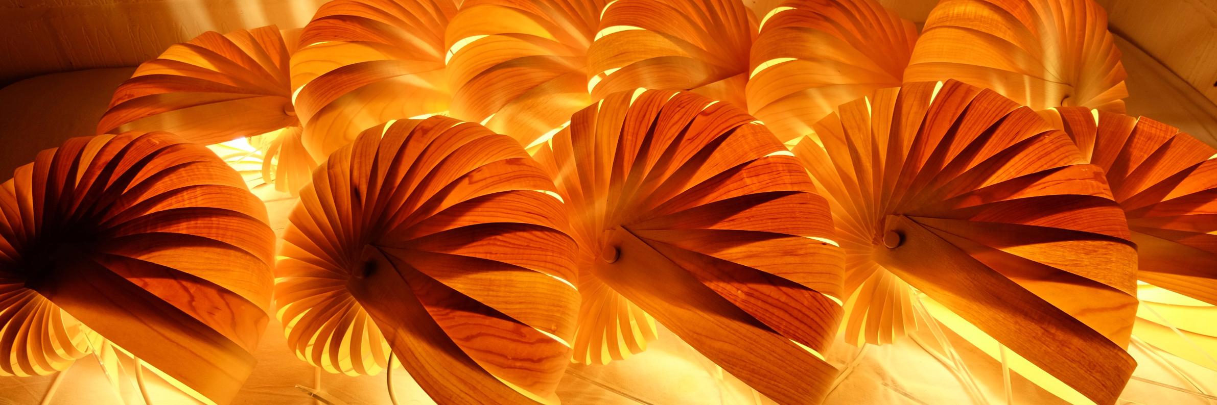 FionaKingdon's profile banner image