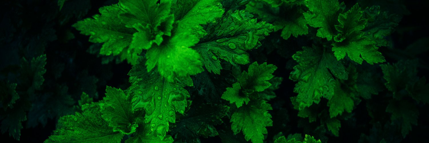 rizalionmun's profile banner image