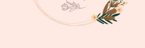 ashaasls's profile banner image