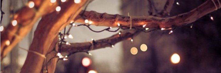 TominGroen's profile banner image