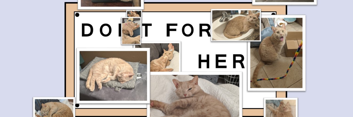 shirahdevorah's profile banner image