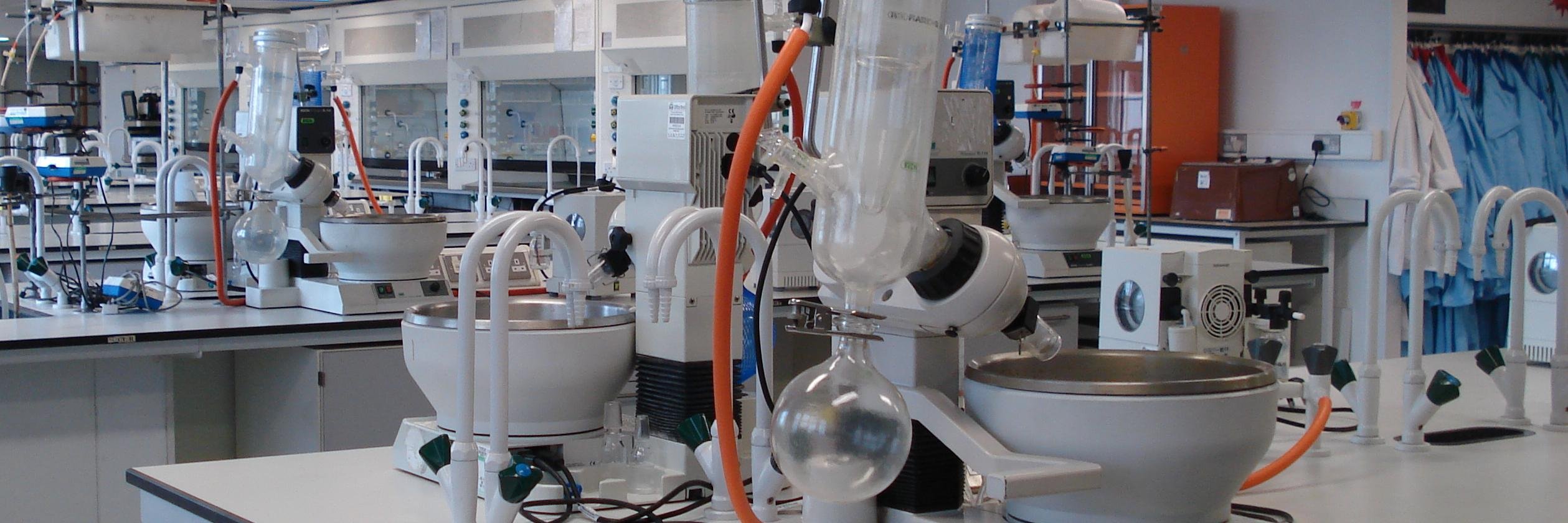 Alice Collier banner