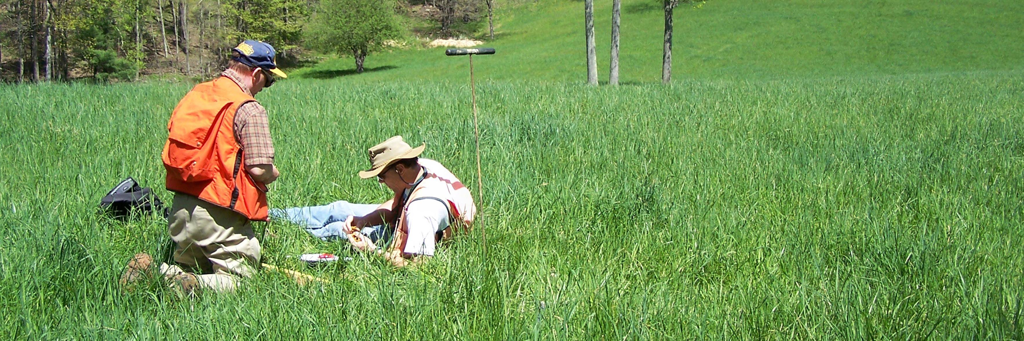 Soil Science Jobs banner