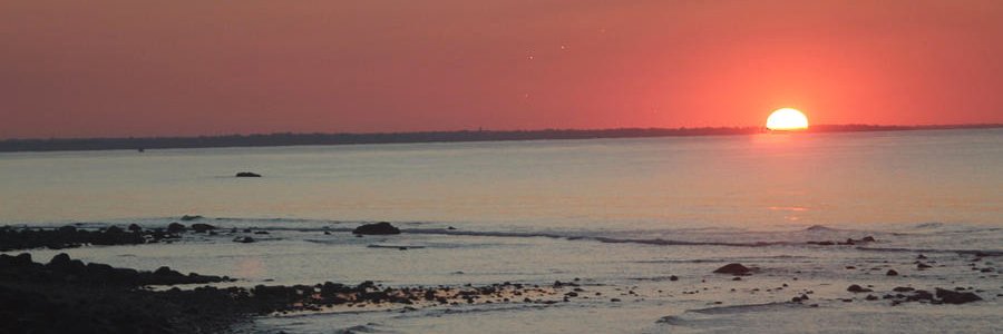 TracyLaughlin's profile banner image