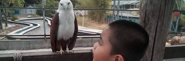 PDemaVoc's profile banner image