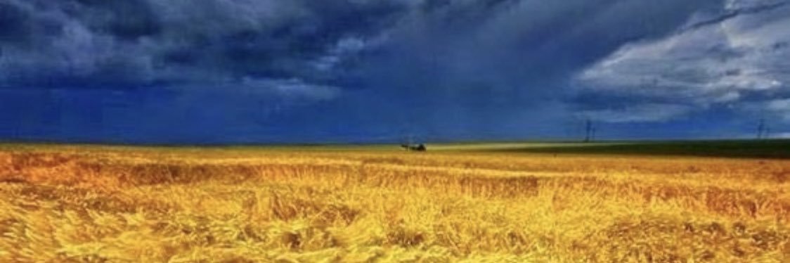 midwesternmam's profile banner image