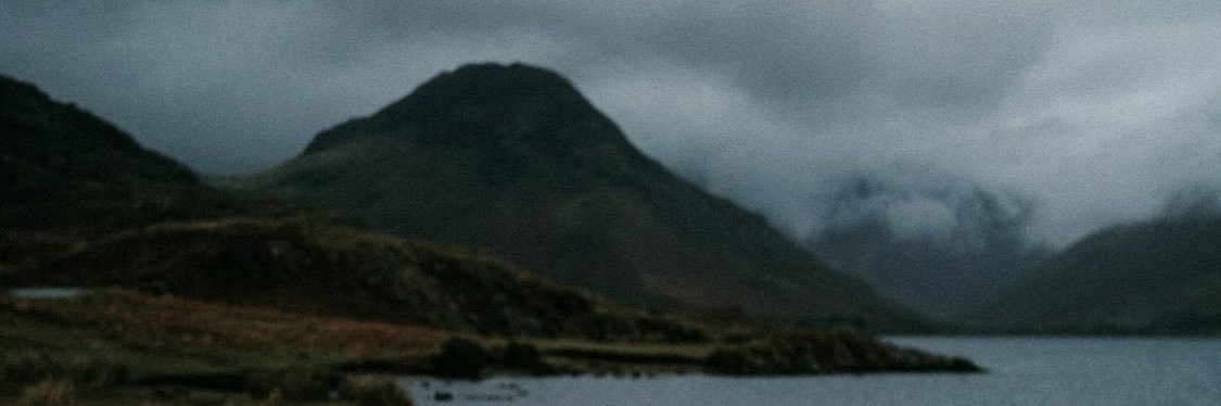 Beebeez78's profile banner image