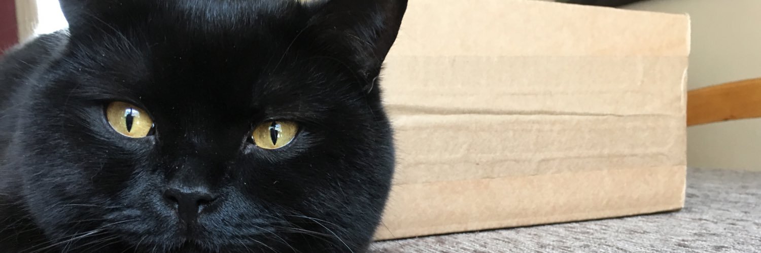 marckoool's profile banner image