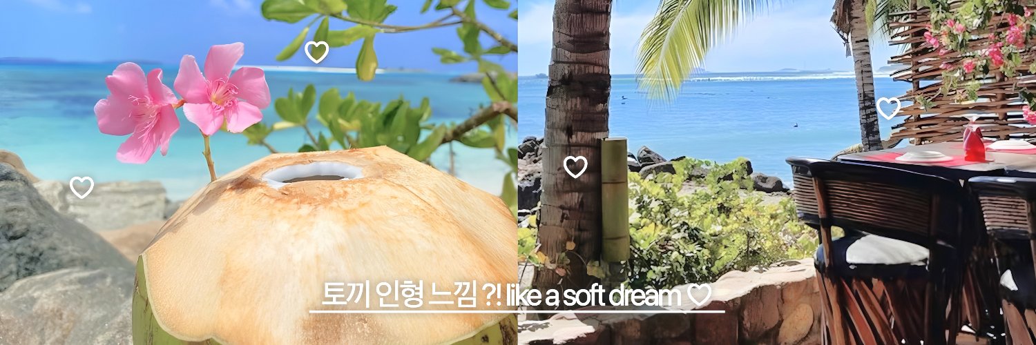 cyarnation's profile banner image