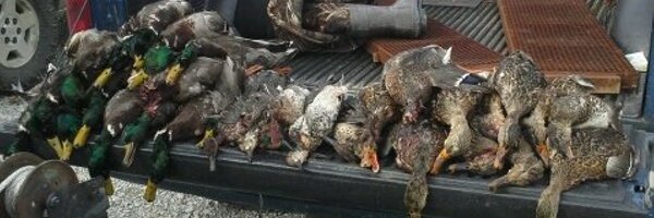 daniel_proag Profile Banner