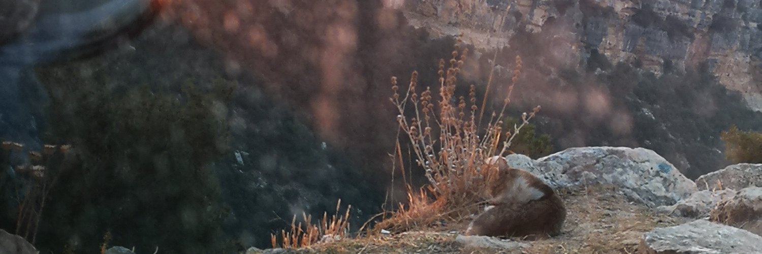 simgokce's profile banner image