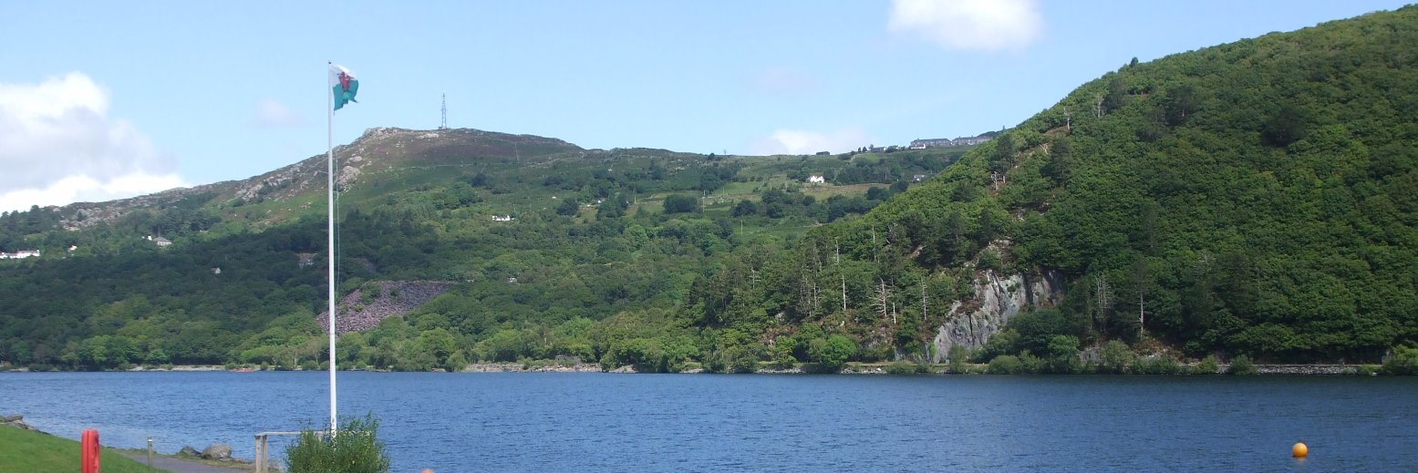 Geraint Parry banner