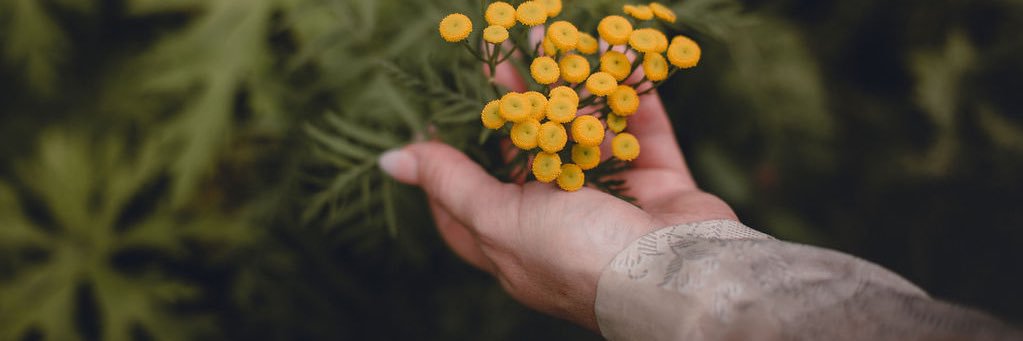 redheadlefthand's profile banner image