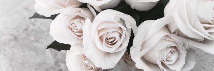 cassandraankaa's profile banner image