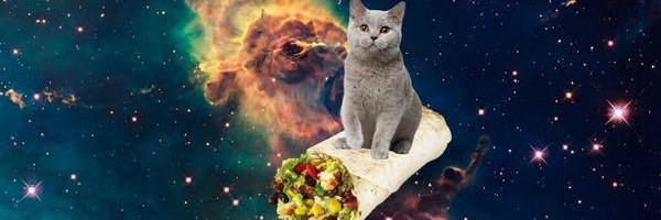 djwendella's profile banner image