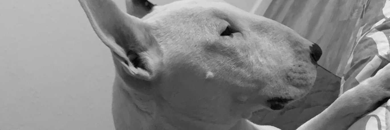 Missperilless's profile banner image