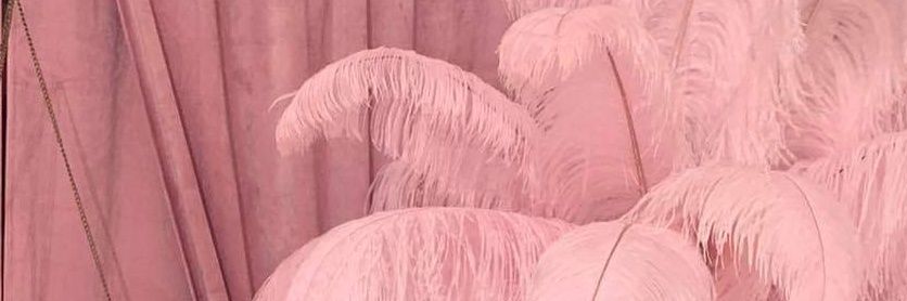 KNRwrites's profile banner image