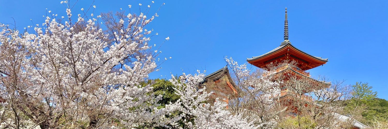 yaaamaka's profile banner image