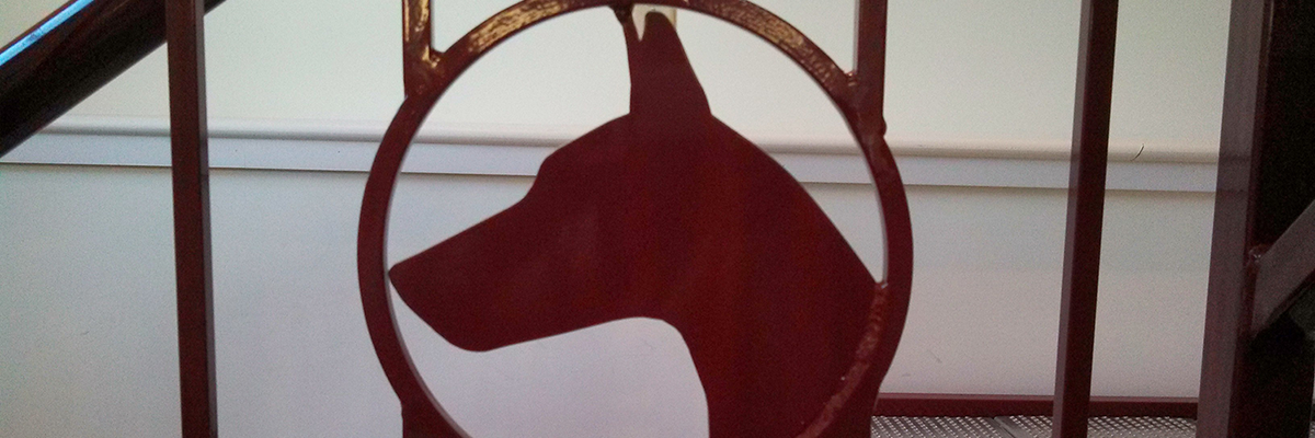 HBAnimals's profile banner image