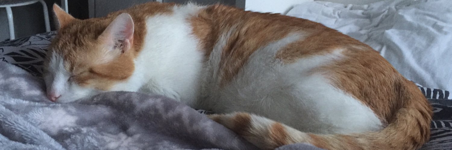 MuizenInJeKast's profile banner image