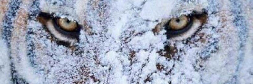 Jdubbya033's profile banner image