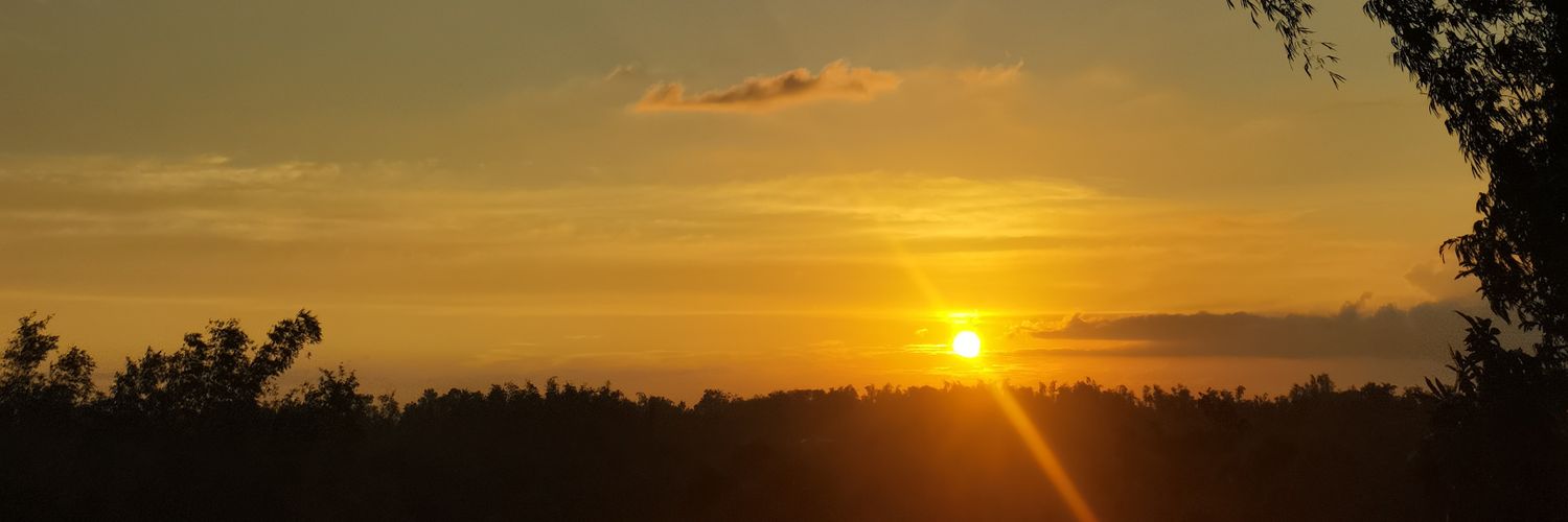 daulo69's profile banner image